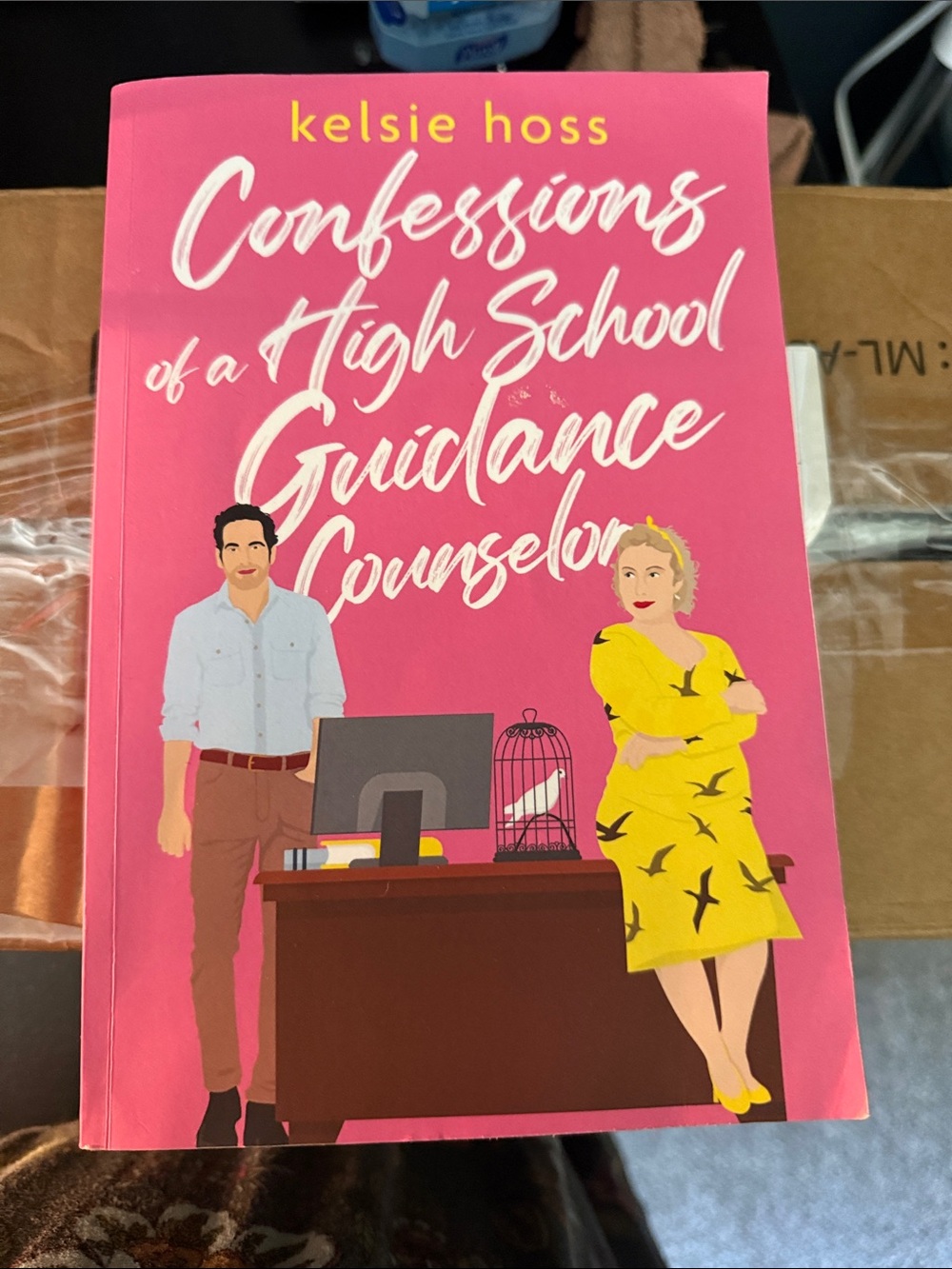 Confessions of a High School Guidance Counselor - Pink Cover